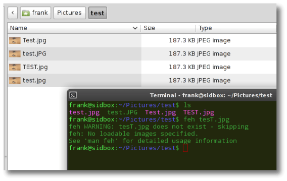 How to enable case sensitive file and folder names on Windows 10?