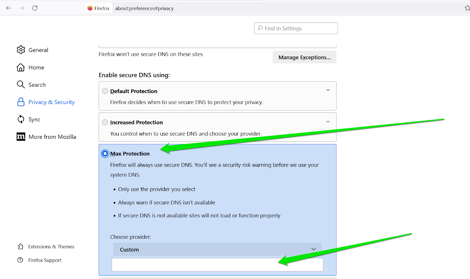 Firefox max protection