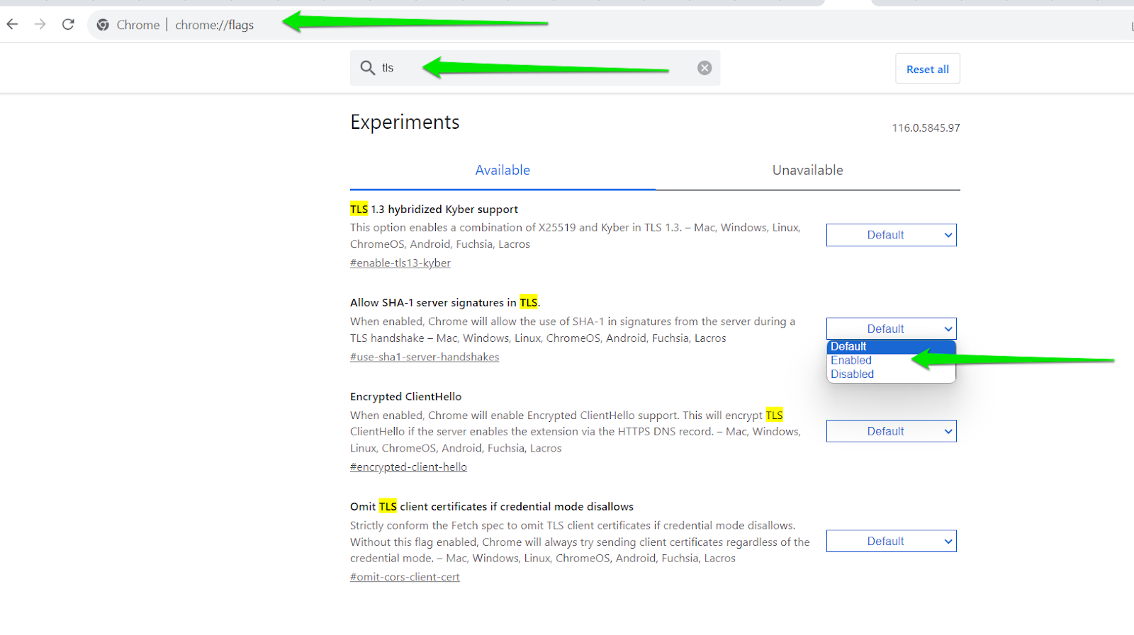 Enter Chrome flags