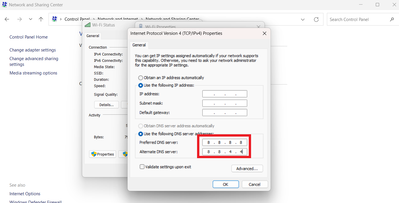 Next, click “Use the following IP address” and enter 8.8.8.8 in the “Preferred DNS Server” and 8.8.4.4 in the “Alternate DNS Server”.