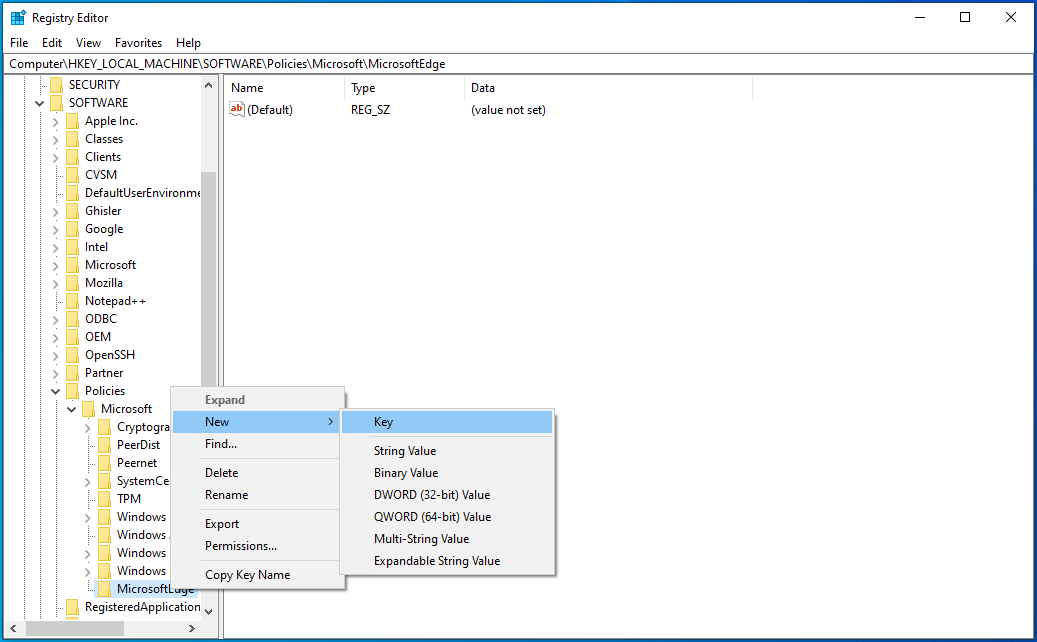 In MicrosoftEdge, create a new key.