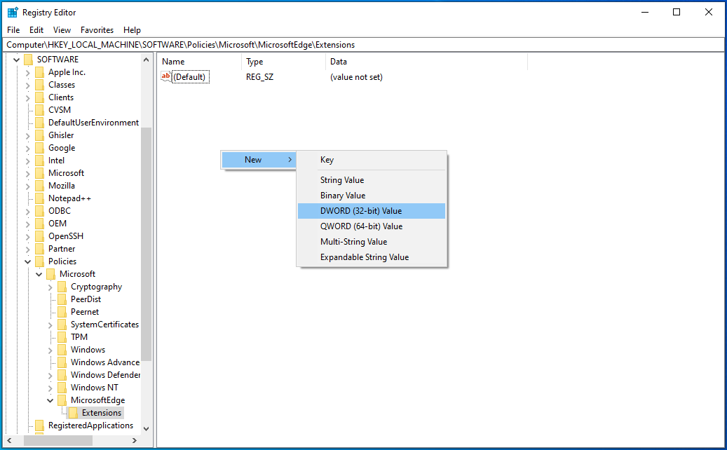 Create a new key in Extensions.