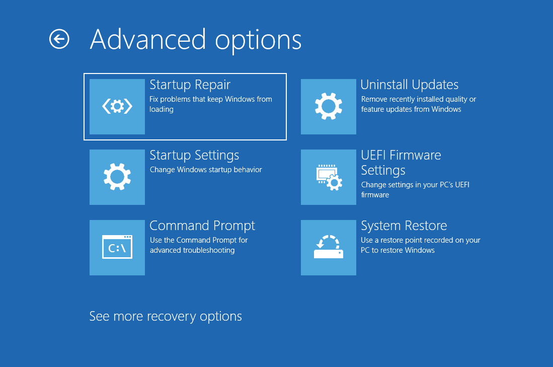 The Advanced options screen will open.