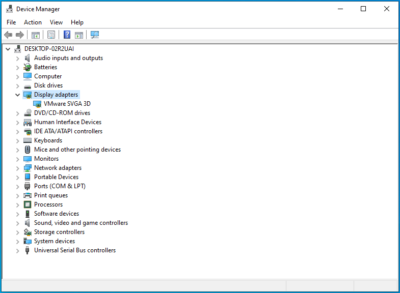 In Device Manager, expand the “Display adapters” entry.