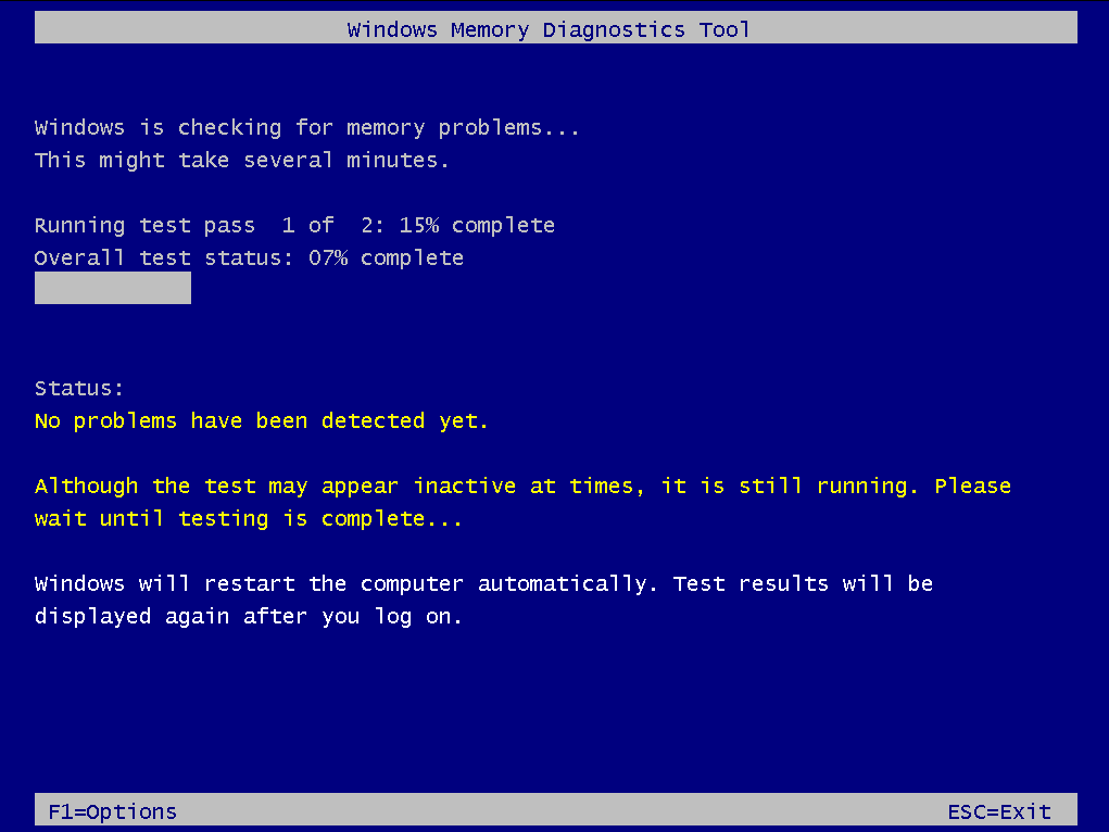 Wait while Windows is checking your memory for issues.