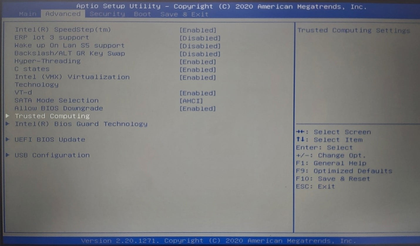 If you can’t find the TPM setting under the Security tab, it should be under Advanced.