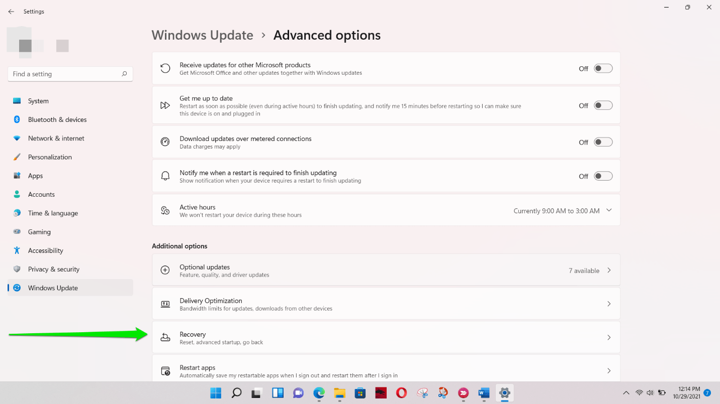 Select Recovery on the Advanced Options pageselect Recovery on the Advanced Options page
