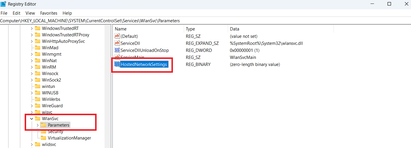 HostedNetworkSettings