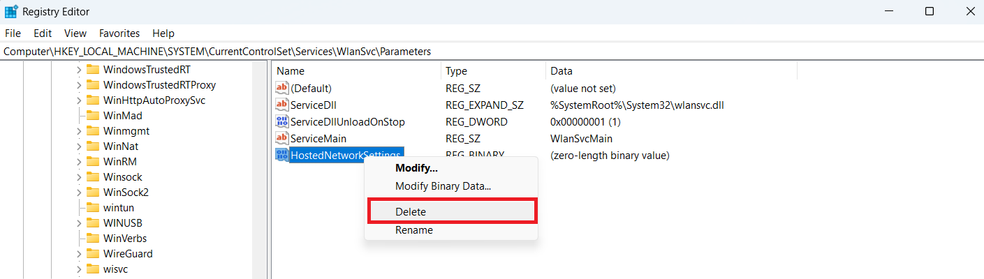 HostedNetworkSettings delete