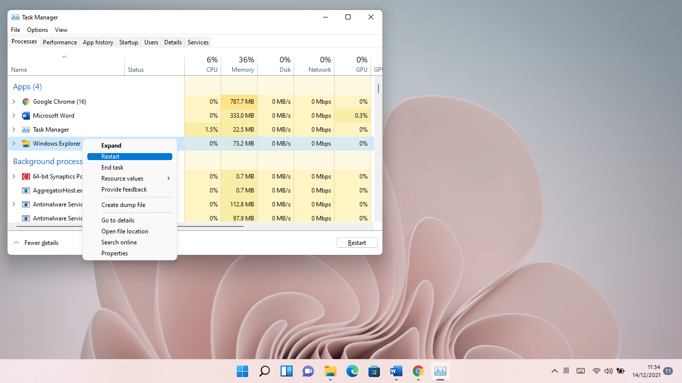 Choose Windows Explorer entry under the Processes tab