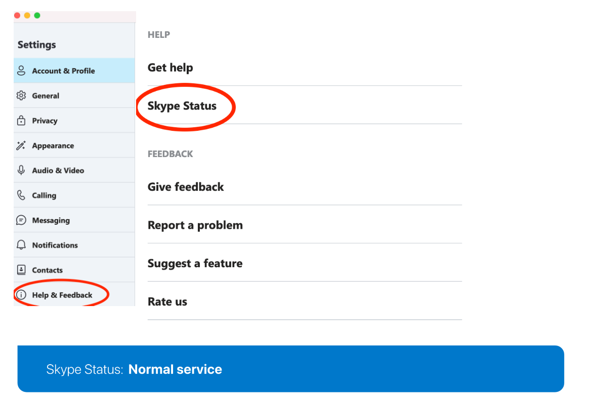 Check Skype Status