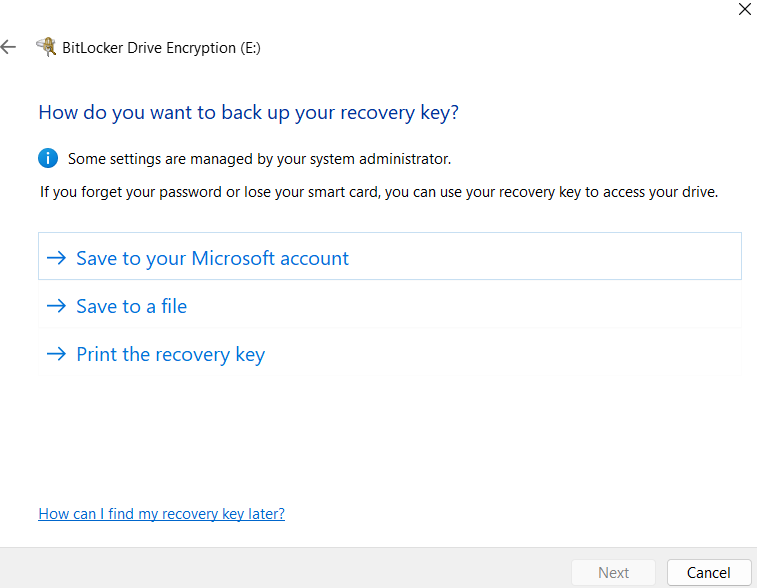 Choose the backup option you want and click Next