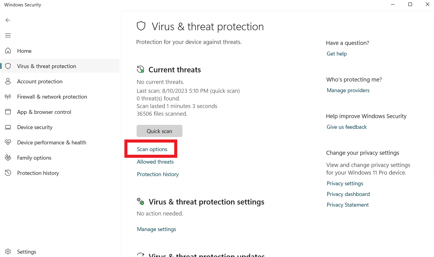 Click Virus & threat protection and select Scan options