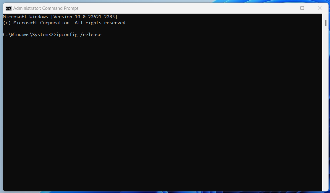 ipconfig release