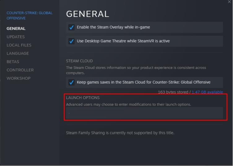 Change the game’s launch options