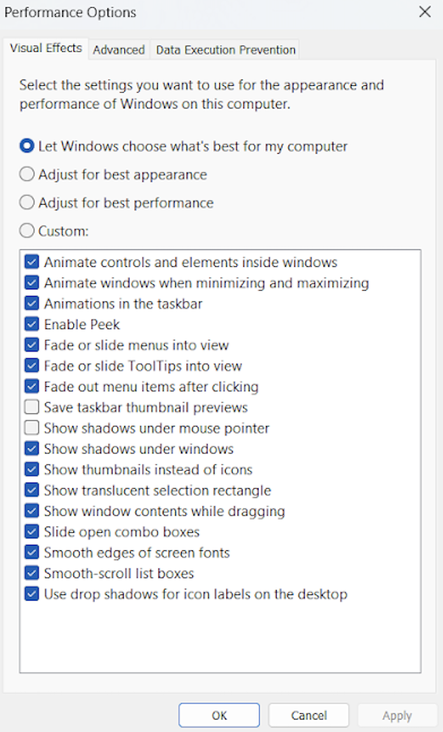Performance Options Let Windows Choose What's Best for My Computer