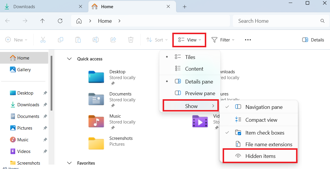 Windows 11 Hidden items