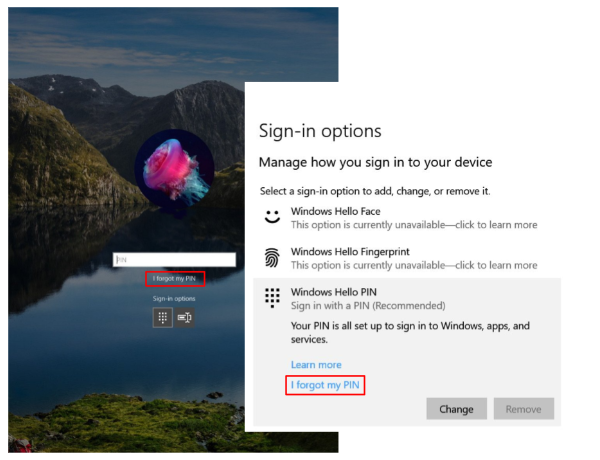 Windows sign-in options