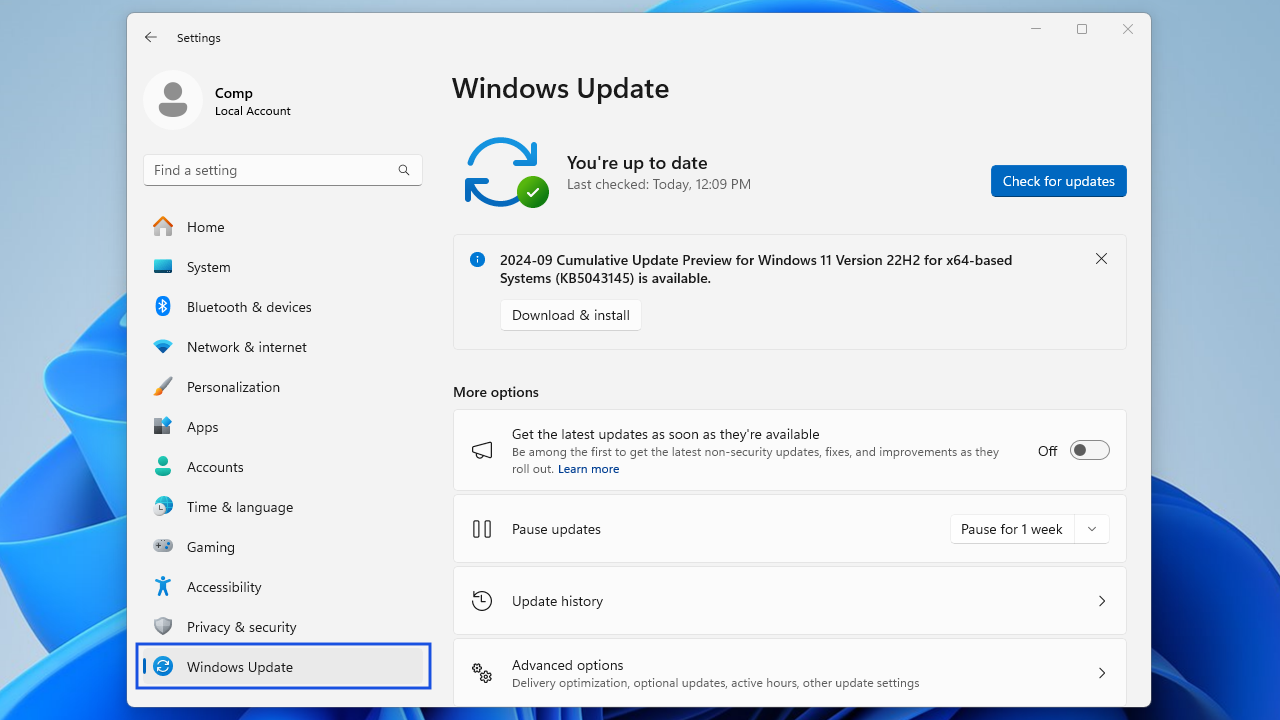 Click on Windows Update