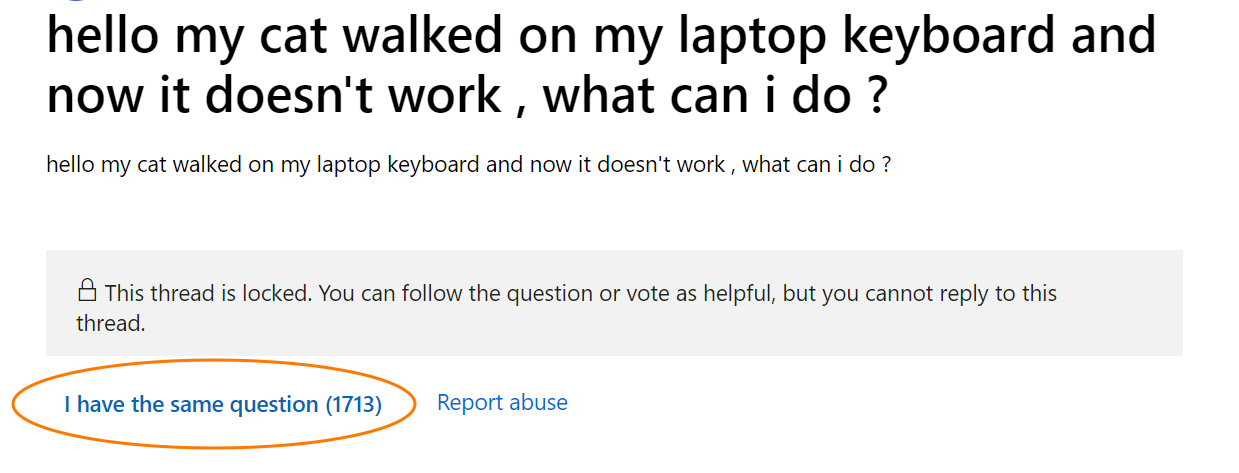 Katze lief über meine Tastatur