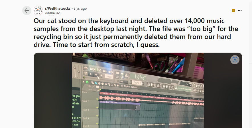 A cat deleted 14k music samples at a go!