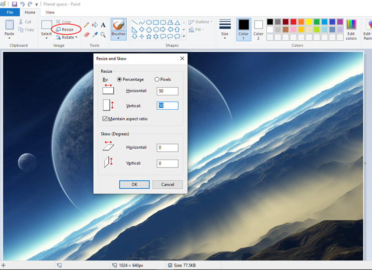 On the Home tab, navigate to the Image menu and click Resize.