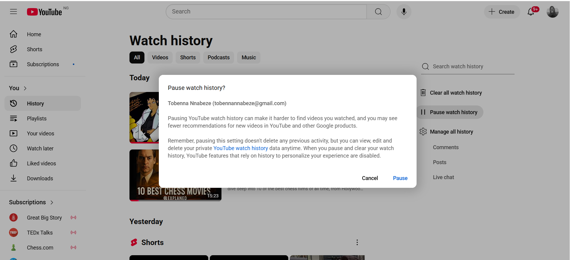Click the Pause button in the Pause watch history? dialog to confirm the action