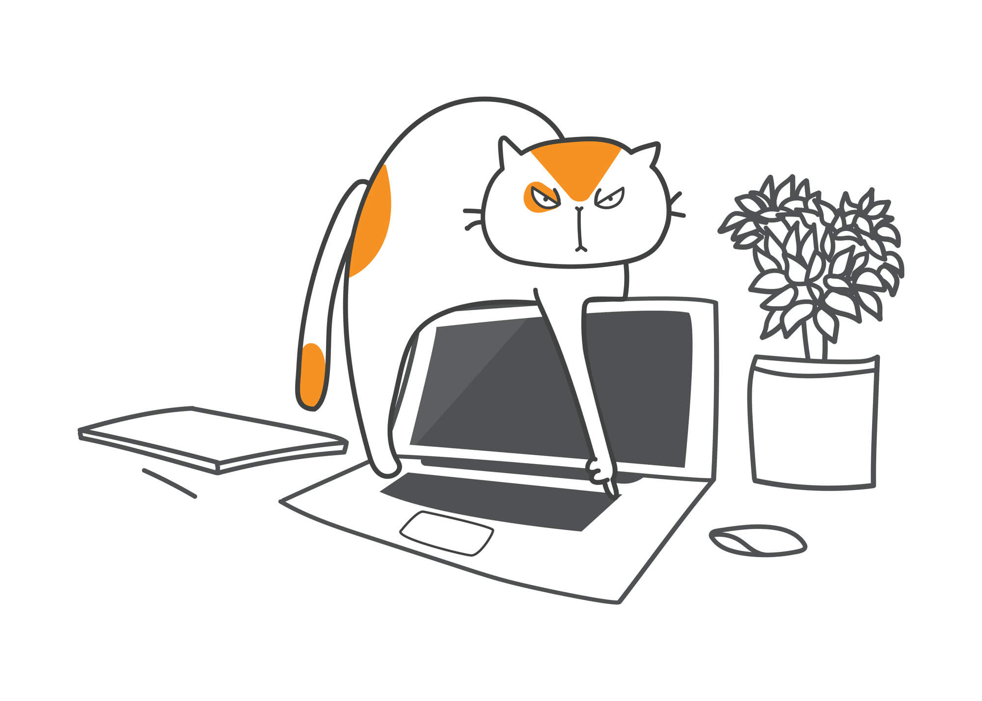 Why Do Cats Walk on Keyboards? Cat Proof PC — Auslogics Blog