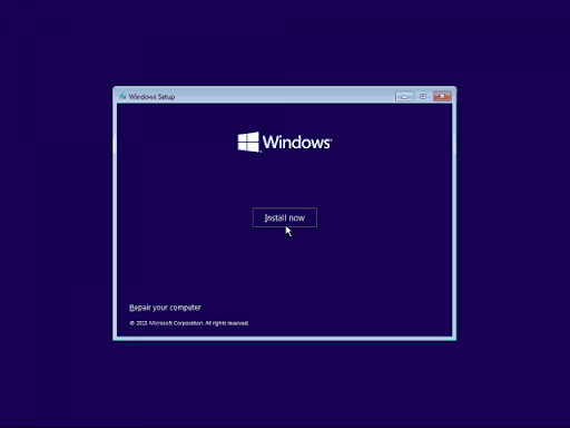 After booting, click <em>“Next”</em> and select <em>“Install now</em>