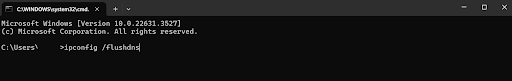 Type the following command to reset the DNS cache:<i> ipconfig /flushdns</i>