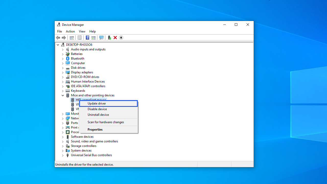 Select Update Driver Software.