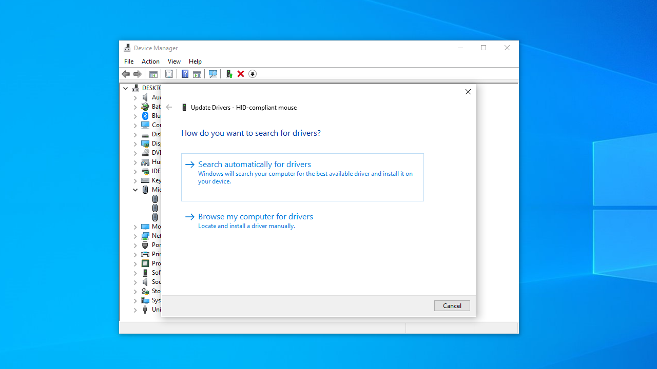 Select the Search automatically for drivers option.