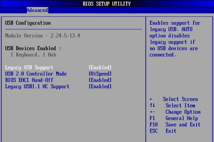 BIOS setup utility advanced