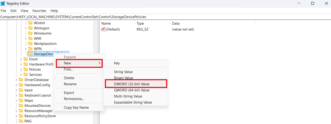 Right-click on the <i>StorageDevicePolicies </i>folder, select <i>New, </i>go for <i>DWORD (32-bit) Value</i>