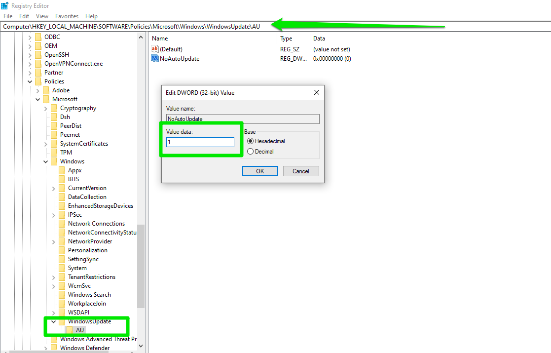 Double-click the NoAutoUpdate DWORD and enter 1 in the Value data text box