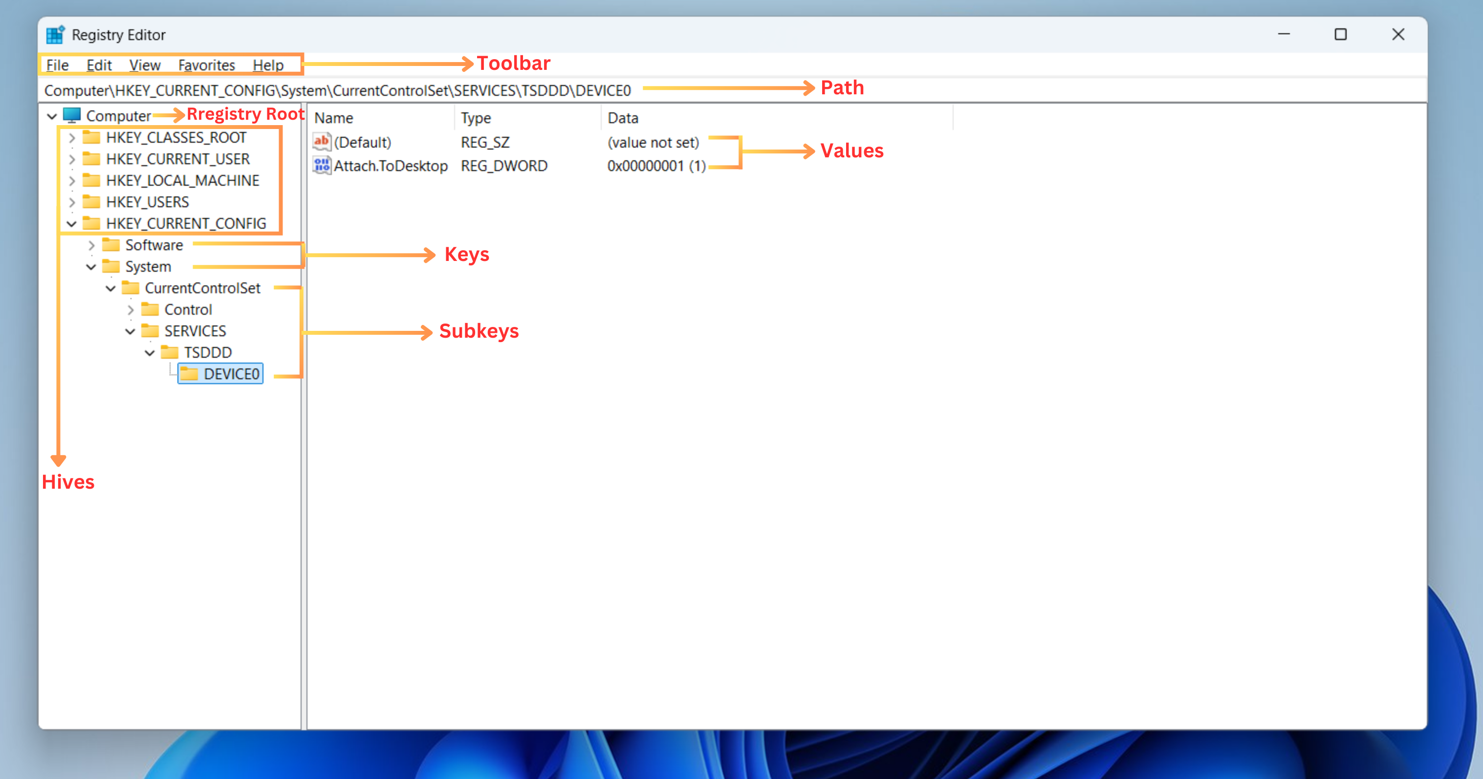 Key Terms You Need to Know in Windows Registry Editor