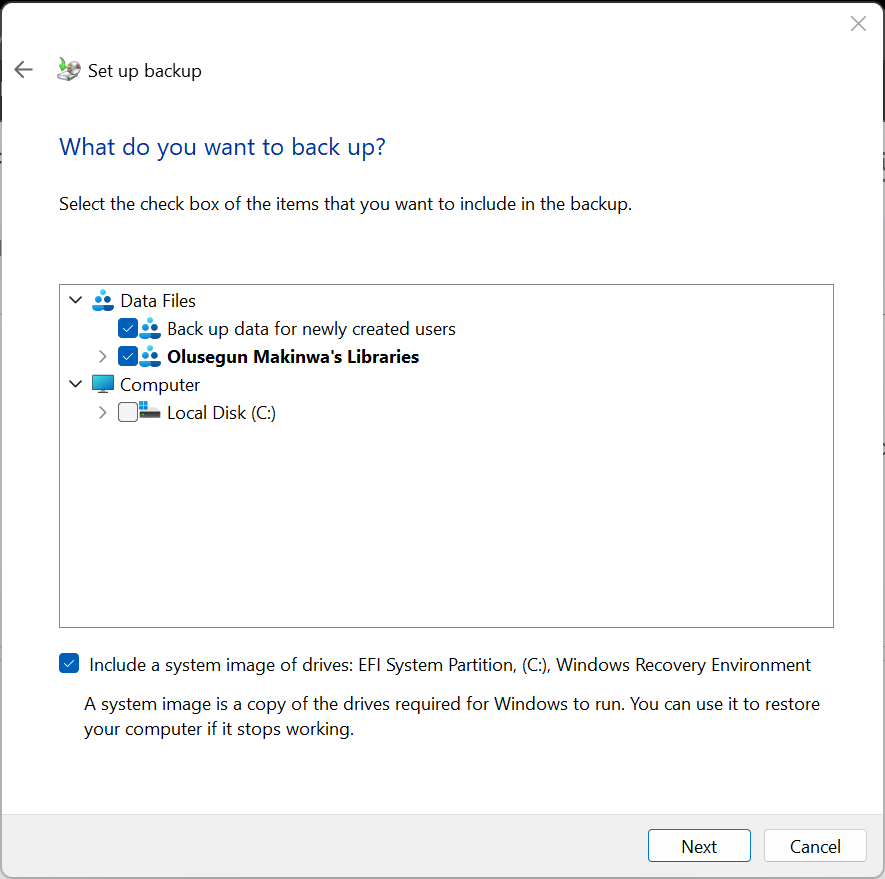After checking the data you want to save (assuming you selected the Let me choose option), click Next