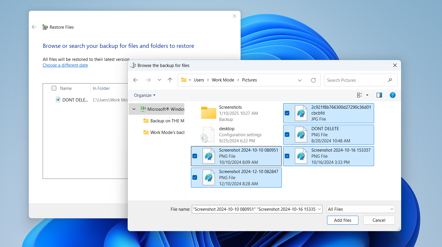 Then, select your preferred backup and click on Add files