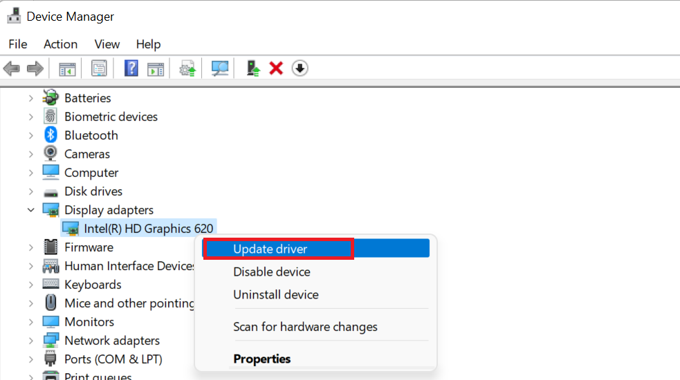 Right-click on the display driver and select Update driver