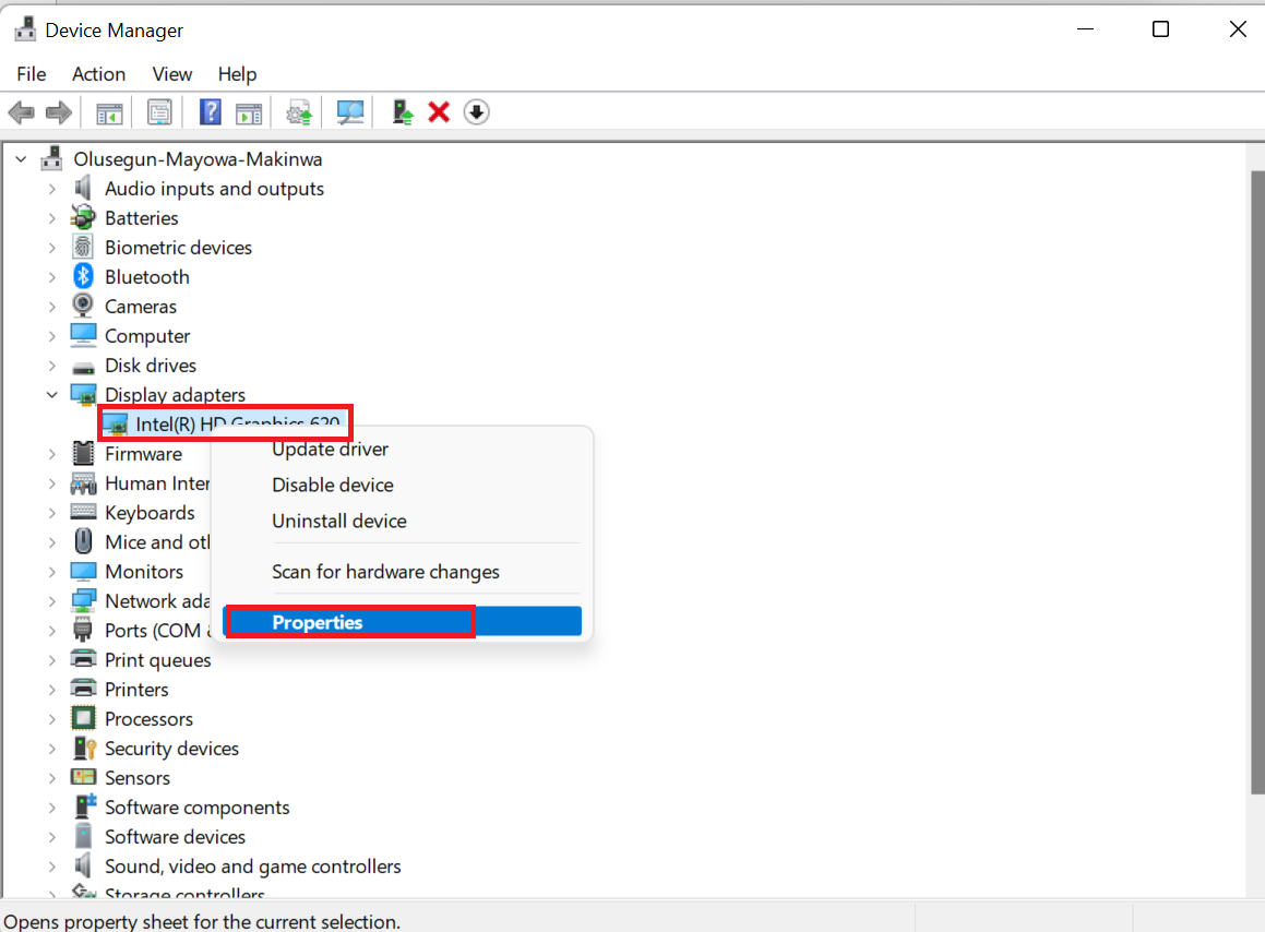 Right-click your graphics card and select Properties from the context menu