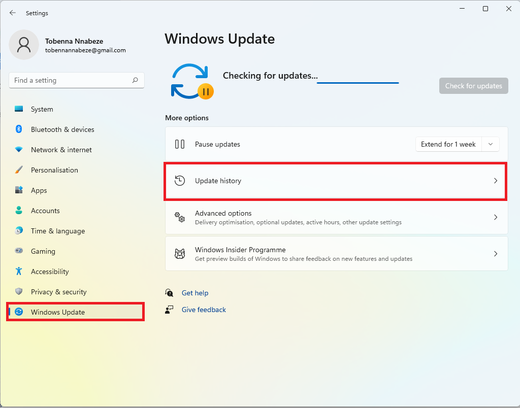 Click on Update history under More options