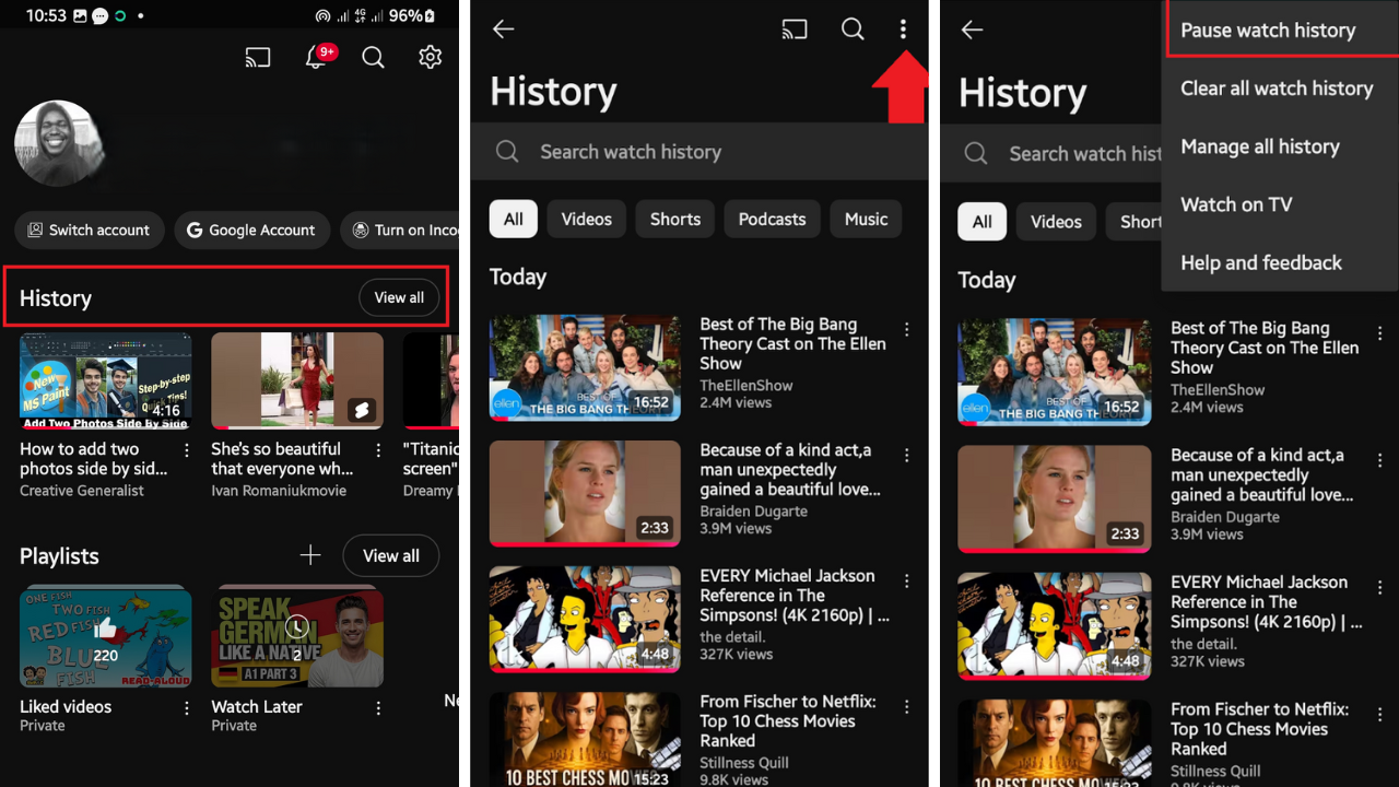 Tap the three-dot icon at the top of the screen and then tap Pause watch history